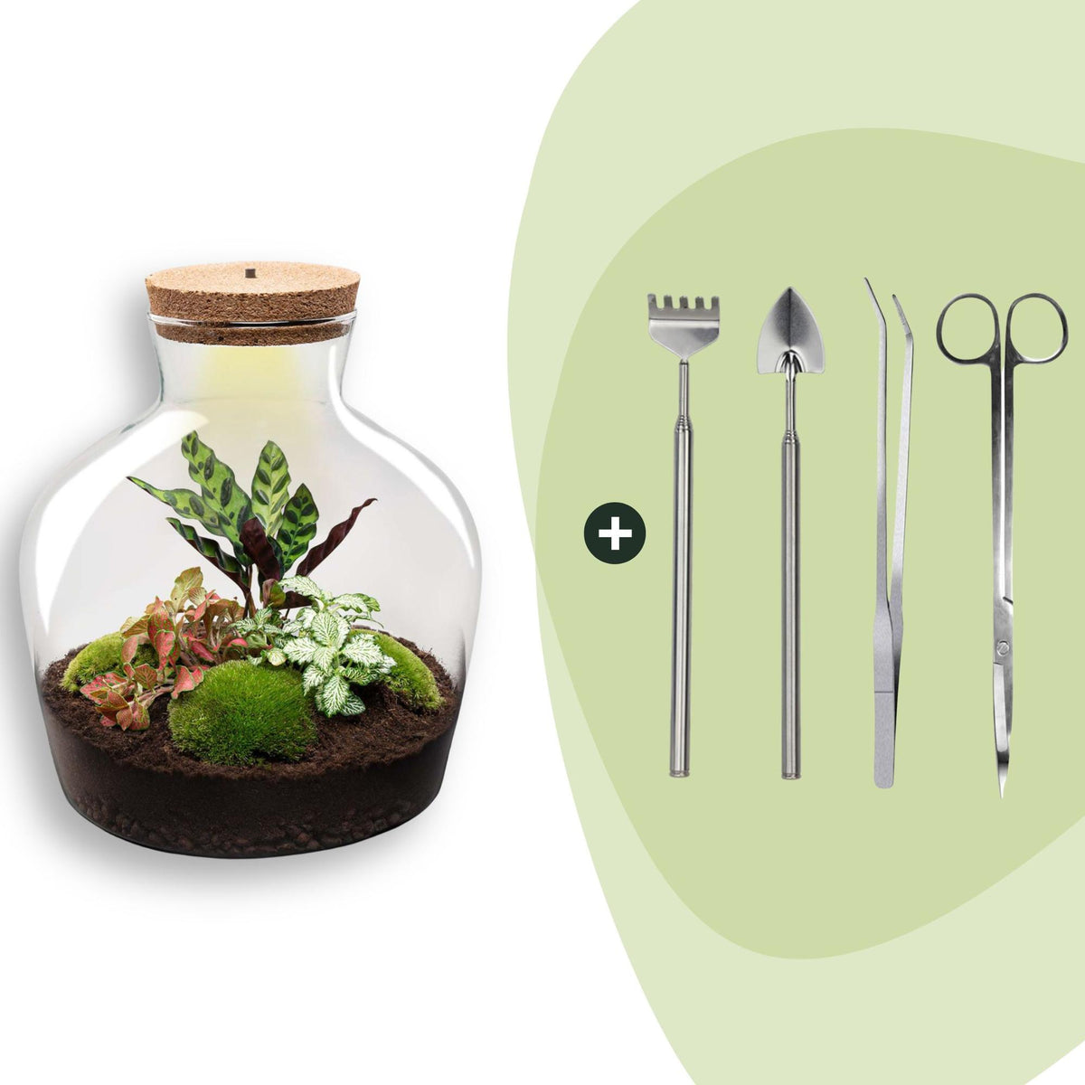 DIY Planten terrarium met licht - Fat Joe Red - Ø 29 cm ↑ 30 cm - Rake + Shovel + Tweezer + Scissors