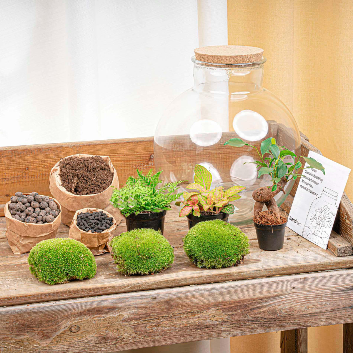 DIY Planten terrarium - Bolder Bob Bonsai - Ø 31 cm ↑ 30 cm - Rake + Shovel + Tweezer
