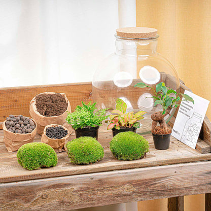 DIY Planten terrarium - Bolder Bob Bonsai - Ø 31 cm ↑ 30 cm - Rake + Shovel + Tweezer