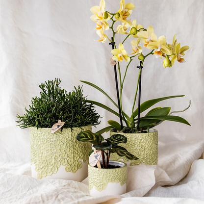 Kolibri Home | Bloom sierpot - Green - Ø9cm