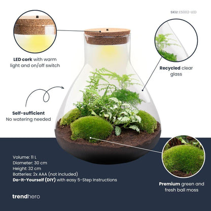 DIY Planten terrarium met licht - Sam XL Green - Ø 30 cm ↑ 32 cm - No tools
