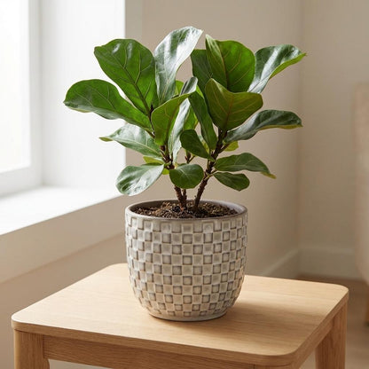 Mini pot relief wit D7