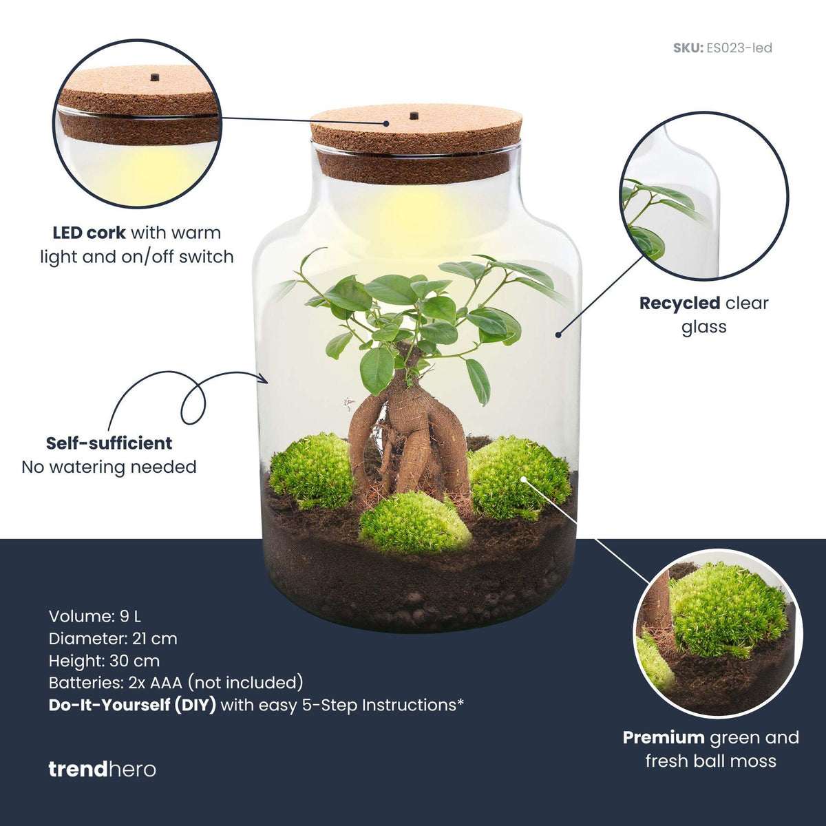 DIY Planten terrarium met licht - Milky Bonsai - Ø 21 cm ↑ 30 cm - Rake + Shovel
