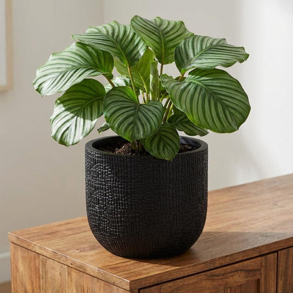 Capi Nature Skin Pot Bol Antraciet - D24cm - H21cm