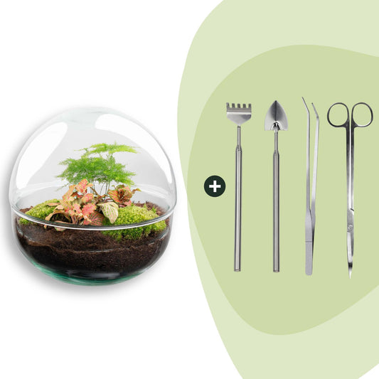 DIY Planten terrarium tweedelig bolglas - Dome Red - Ø 20 cm ↑ 20 cm   - Rake + Shovel + Tweezer + Scissors