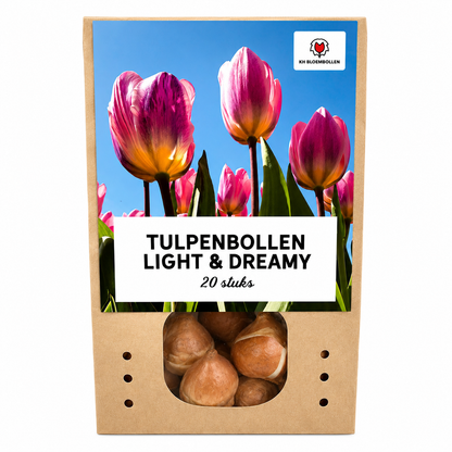 Tulpenbollen Light and Dreamy – 20 Stuks | KH Bloembollen® | Prachtige Pastelkleuren – Voor Tuin of Pot – Maat 11/12 – Vers van de Teler!