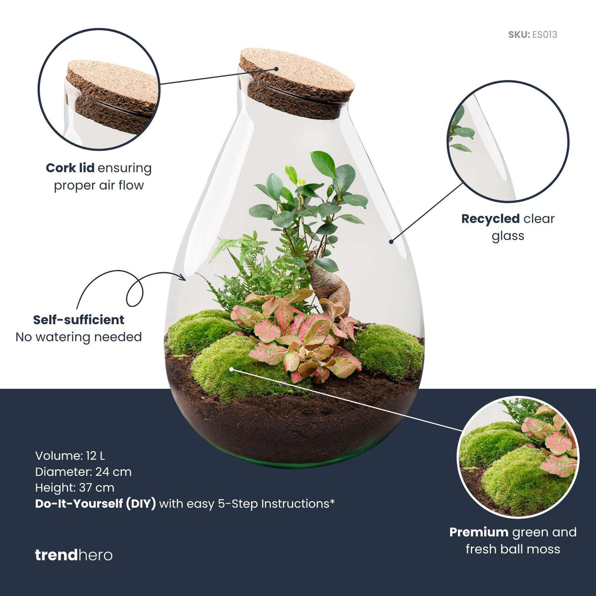 DIY Planten terrarium - Drop XL Bonsai 'red' - Ø 24 cm ↑ 37 cm - Rake + Shovel + Tweezer + Scissors
