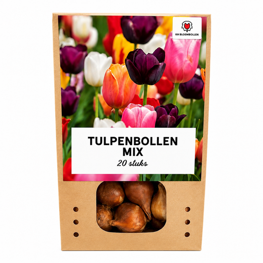 Tulpenbollen Mix - 20 Stuks - Winterhard - Maat 11/12