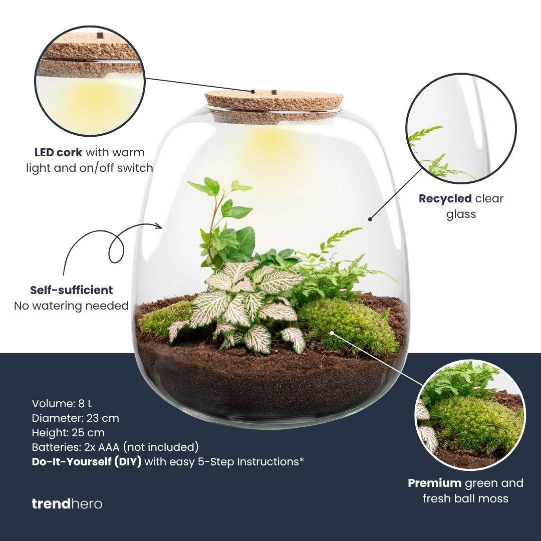 Planten terrarium - Emma - DIY kit - ↑ 25 cm - Ø 23 cm - Hedera Pink