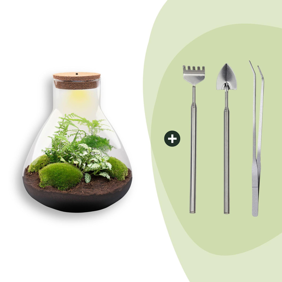 DIY Planten terrarium met licht - Sam XL Green - Ø 30 cm ↑ 32 cm - Rake + Shovel + Tweezer