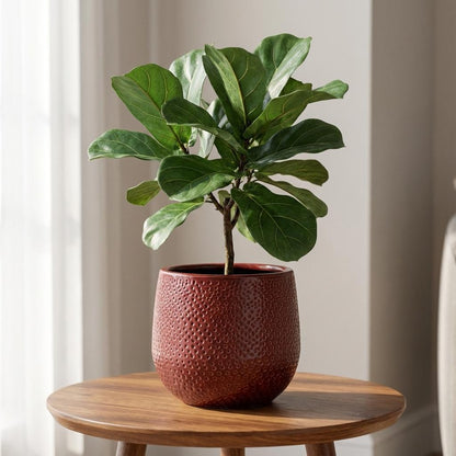 Pot Gabriel rond bordeaux D14