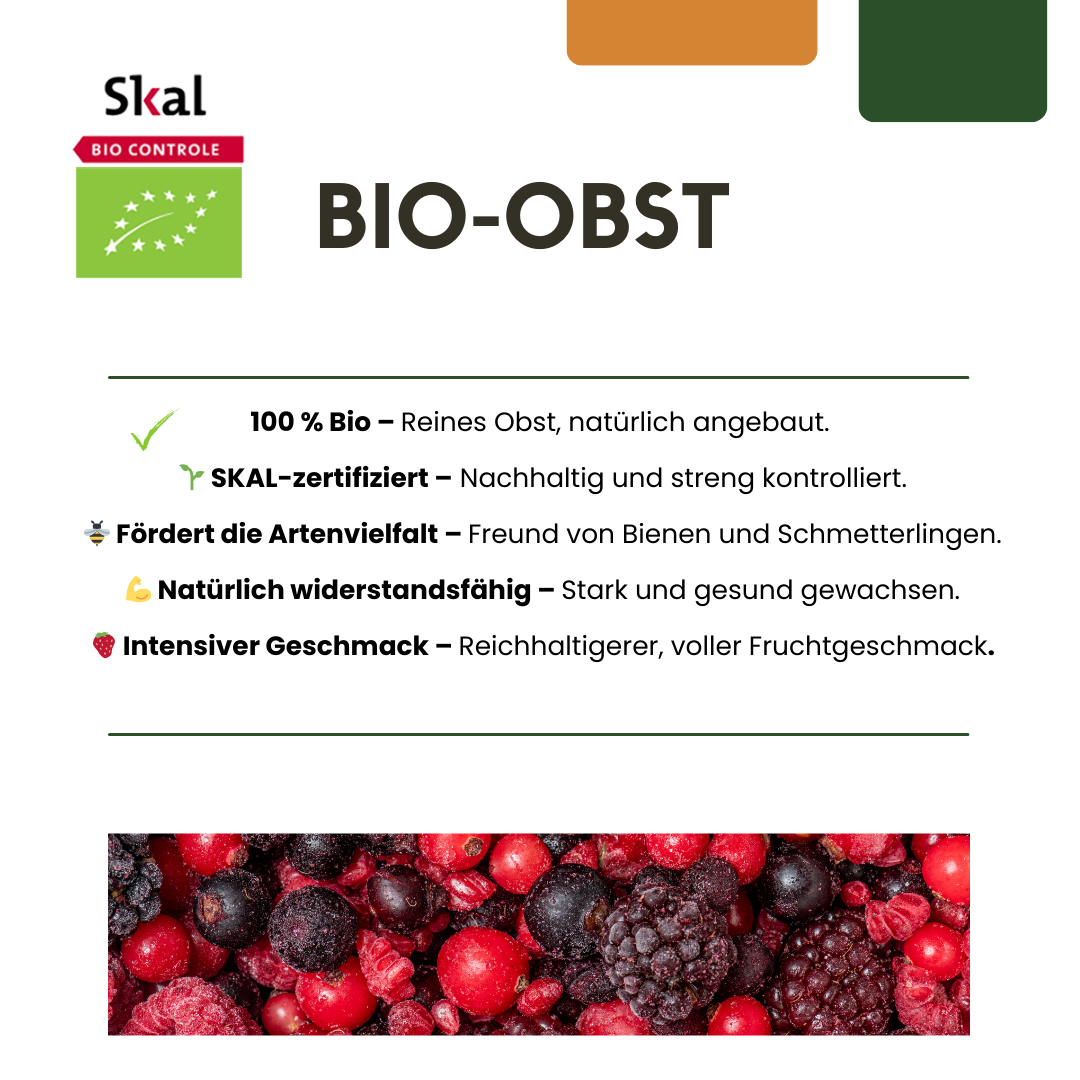 6 x Biologische Kruisbessenplanten - Ø 13 cm - ↨ 20 cm