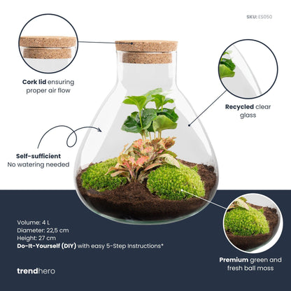 DIY terrarium - Sammie Coffea Red - Ø 22,5 cm ↑ 27 cm - Rake + Shovel + Tweezer