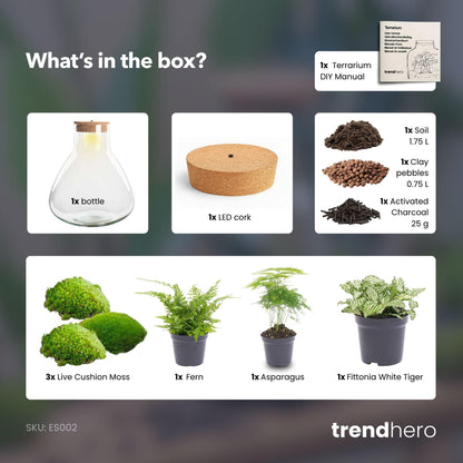 DIY Planten terrarium met licht - Sam XL Green - Ø 30 cm ↑ 32 cm - No tools