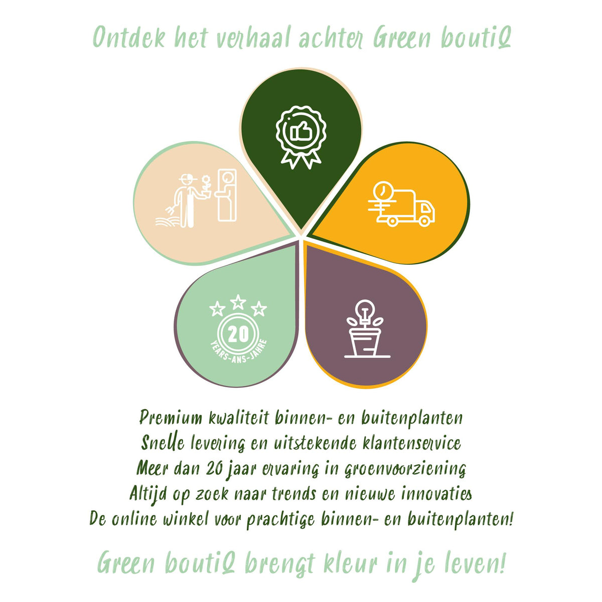 Klimplant - Clematis Rainbow - Bloem Roze Wit Paars Rood - Weinig onderhoud - 4 planten - Pot 11cm Hoogte 40cm