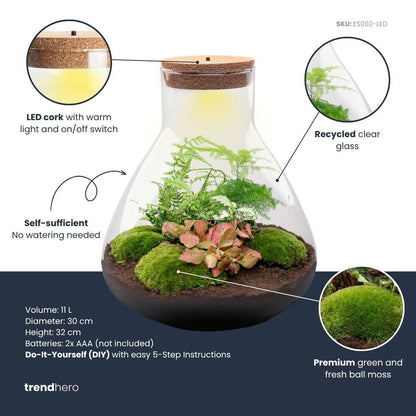 DIY Planten terrarium met licht - Sam XL Red - Ø 30 cm ↑ 32 cm - Rake + Shovel + Tweezer + Scissors
