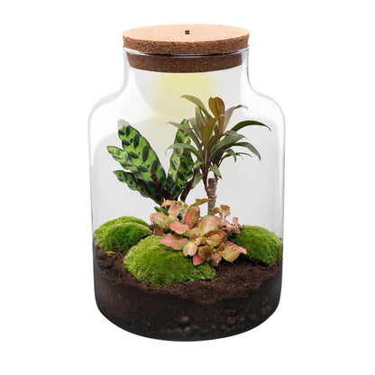 DIY Planten terrarium met licht - Milky - Ø 21 cm ↑ 30 cm - Rake + Shovel + Tweezer + Scissors