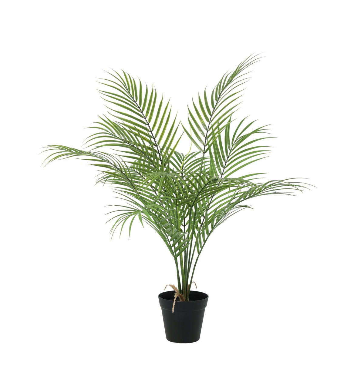 ARTIFICIAL Kentia palm - 65cm