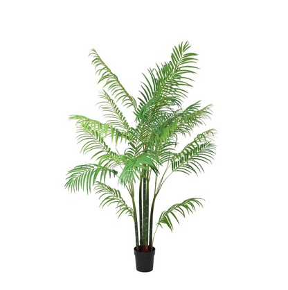 ARTIFICIAL Areca - 190cm