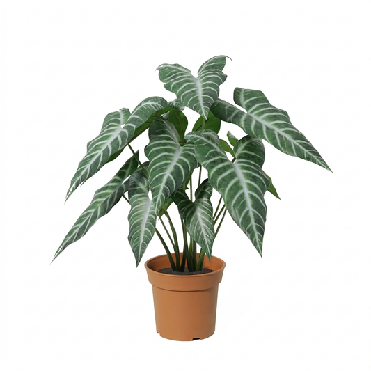 ARTIFICIAL Alocasia polly - 49cm
