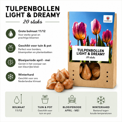 Tulpenbollen Light and Dreamy – 20 Stuks | KH Bloembollen® | Prachtige Pastelkleuren – Voor Tuin of Pot – Maat 11/12 – Vers van de Teler!