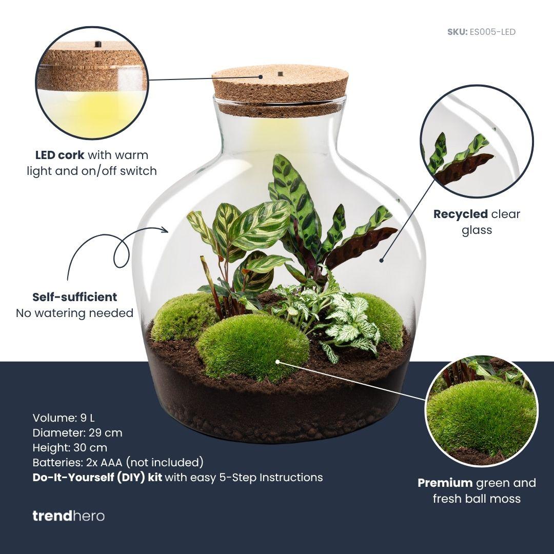 DIY Planten terrarium met licht -  Fat Joe - Ø 29 cm ↑ 30 cm - Rake + Shovel