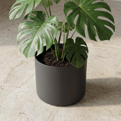Elho B.for soft Antraciet - 35cm