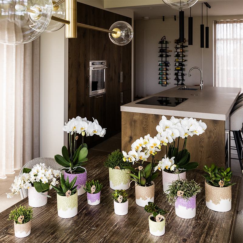 Kolibri Home | Bloom sierpot - Sand - Ø12cm