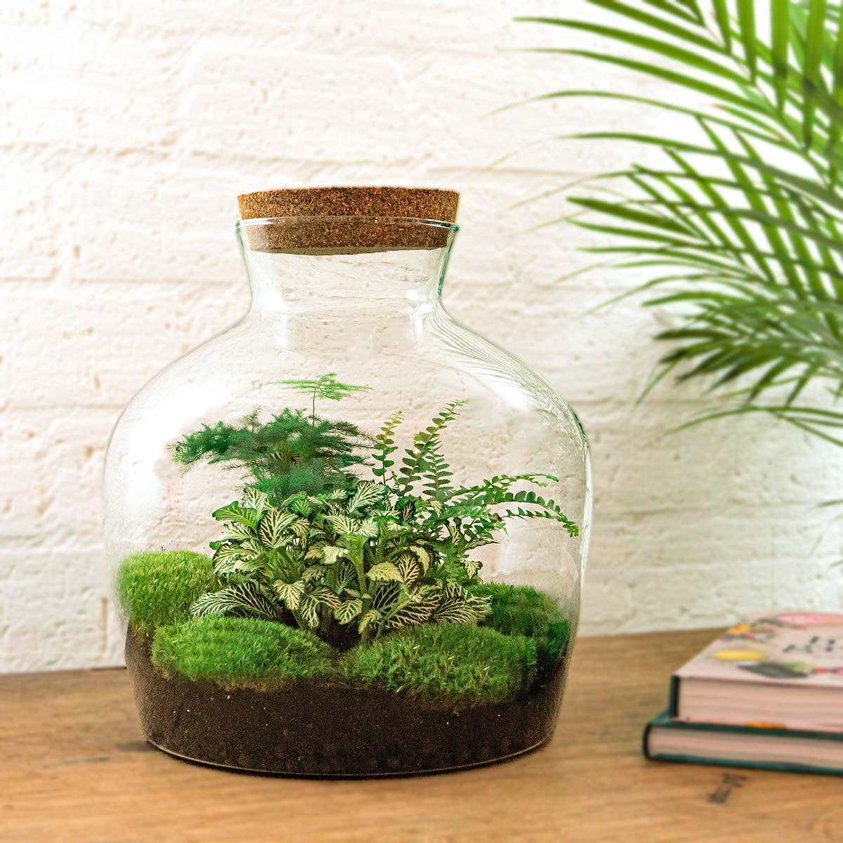 DIY Planten terrarium met licht - Fat Joe Green - Ø 29 cm ↑ 30 cm - Rake + Shovel + Tweezer + Scissors