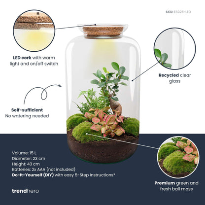 DIY terrarium - Sven XL Bonsai - Met verlichting - ↕ 43 cm - Rake + Shovel