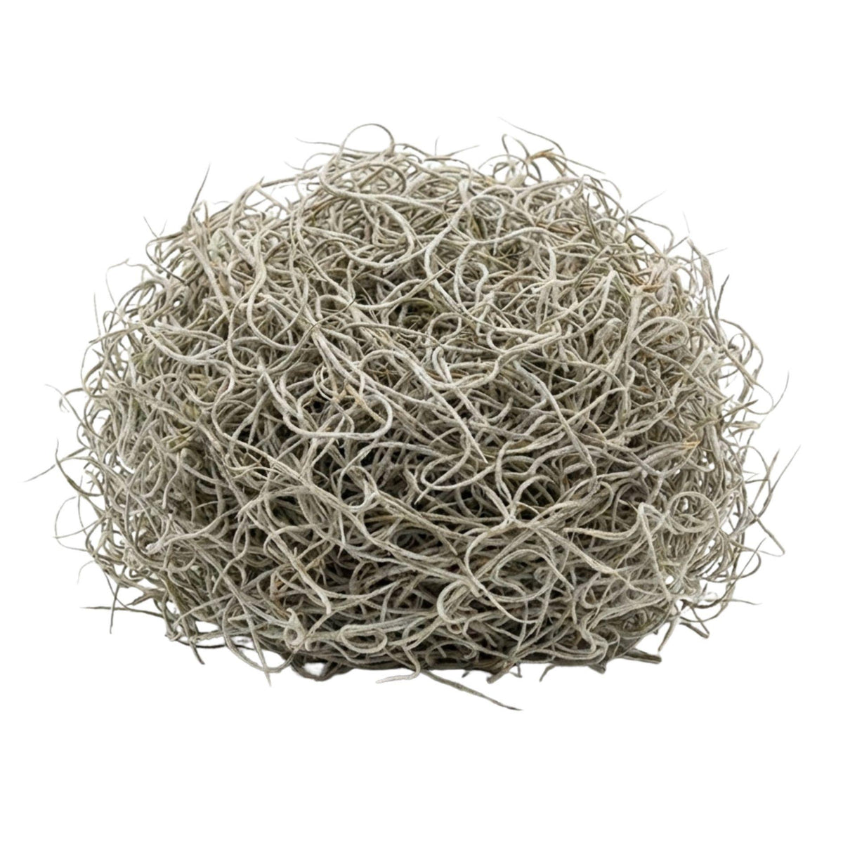 Gedroogd Tillandsia Mos – 1L – Alleen voor decoratief gebruik