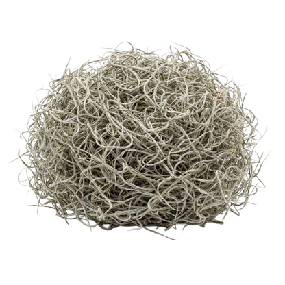Gedroogd Tillandsia Mos – 1L – Alleen voor decoratief gebruik