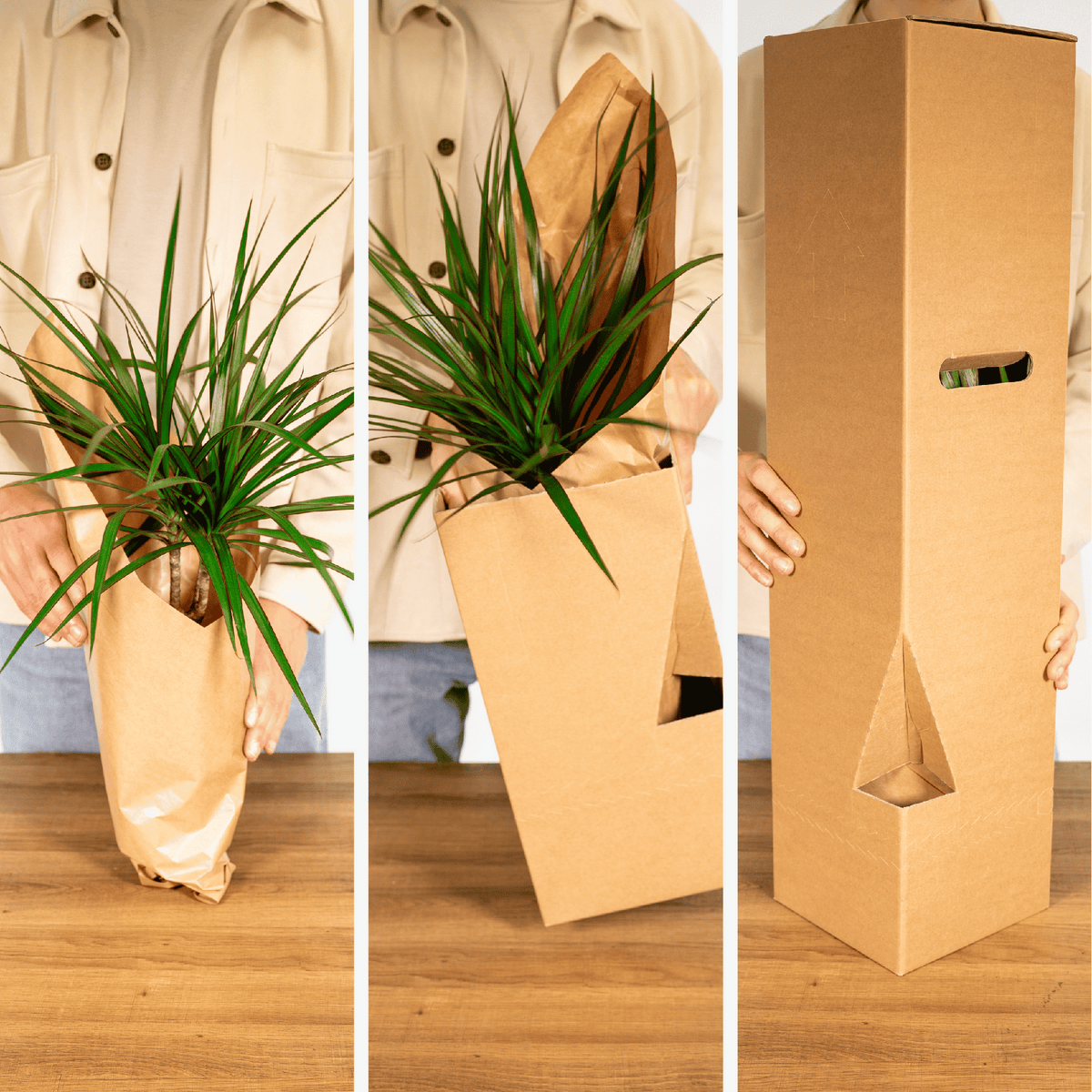 Verrassingsbox - Ø12cm - ↕25cm - x5