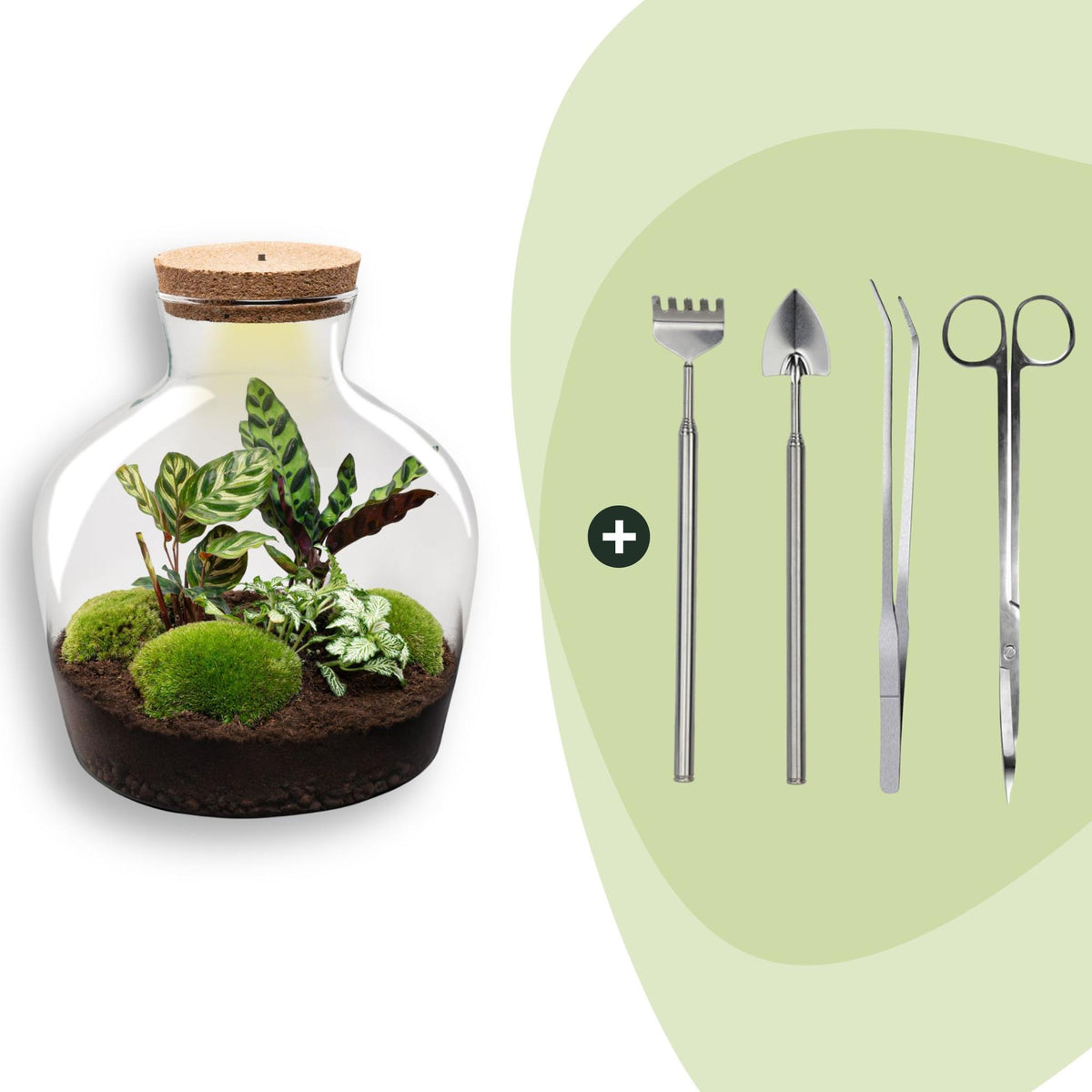 DIY Planten terrarium met licht -  Fat Joe - Ø 29 cm ↑ 30 cm - Rake + Shovel + Tweezer + Scissors
