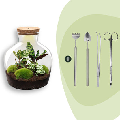DIY Planten terrarium met licht -  Fat Joe - Ø 29 cm ↑ 30 cm - Rake + Shovel + Tweezer + Scissors