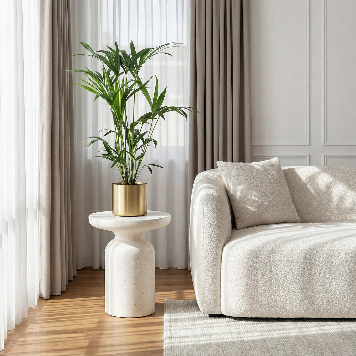 Kamerplant - Howea Forsteriana - Kentia Palm - Weinig Onderhoud - Groen - 2 planten - Pot 19cm - Hoogte 80-85cm
