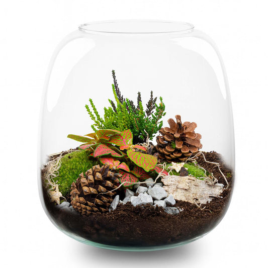 Tinsel Kerstmis terrarium - Planten terrarium  - DIY kit Christmas - Ø 19 cm ↑ 20 cm