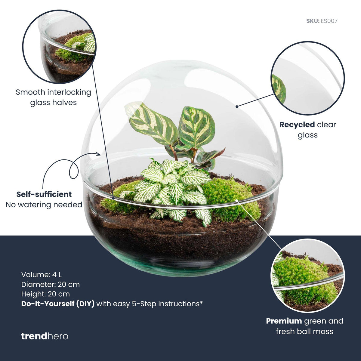 DIY Planten terrarium tweedelig bolglas - Dome - Ø 20 cm ↑ 20 cm - Rake + Shovel + Tweezer + Scissors