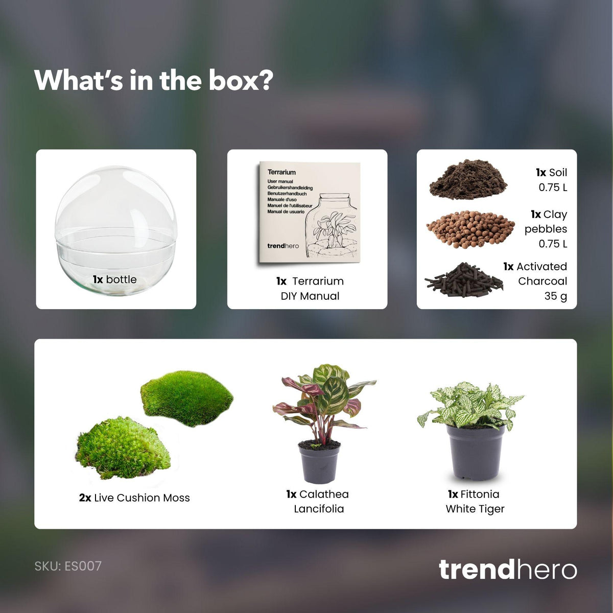 DIY Planten terrarium tweedelig bolglas - Dome - Ø 20 cm ↑ 20 cm - Normal