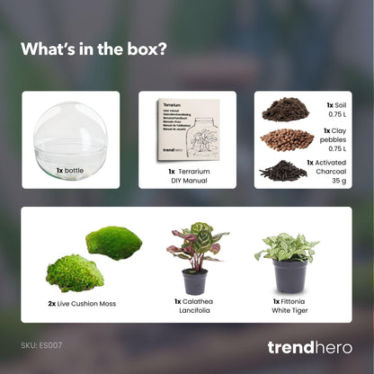 DIY Planten terrarium tweedelig bolglas - Dome - Ø 20 cm ↑ 20 cm - Normal